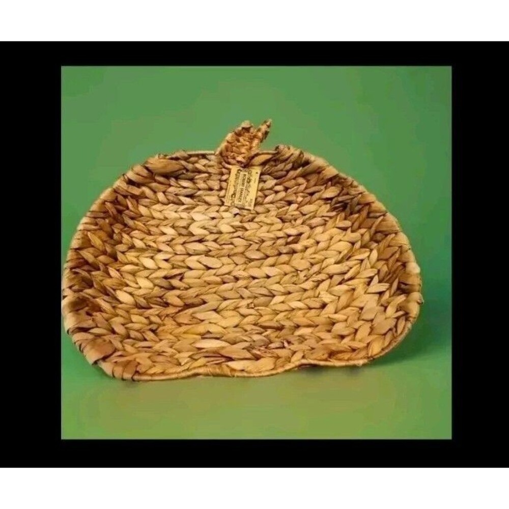 Pumpkin Apple Wicker Basket Tray Woven Robert Stanley Fall Farmhouse 19x17x3 New